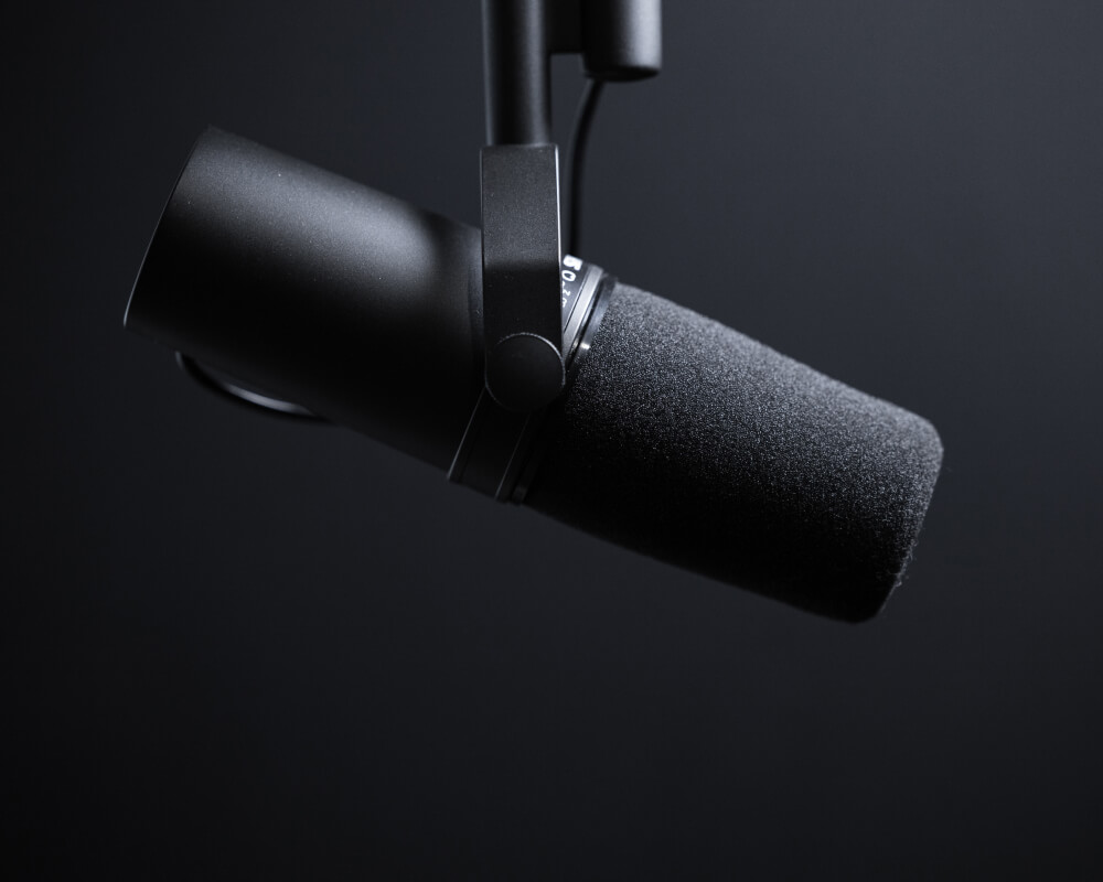 Start a Podcast and Build a Loyal Audience in No Time